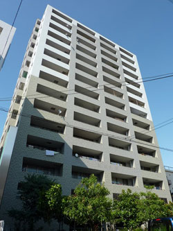 ���V��V�e�B�^���[