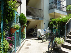 �V�������n�C�c