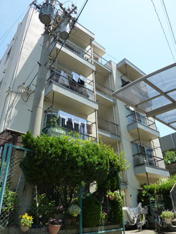 �V�������n�C�c