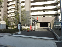 �A�f�j�E���k���ꉮ