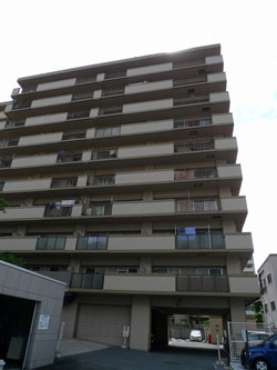 �A�h���[���k���ꉮ�p�[�N�s�A