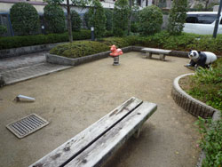 �A�h���[���k���ꉮ�p�[�N�s�A