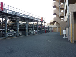 �A�W���[�����l