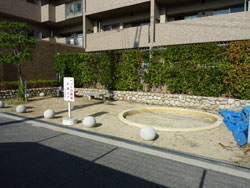 �A�W���[�����l