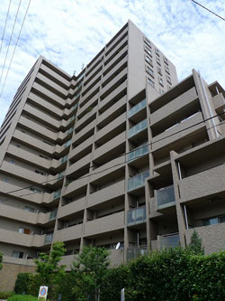 �A�W���[�����l