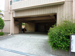 �����v���U���