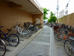 �����v���U���