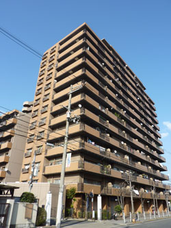 �����v���U�Z�V�]����