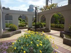 �����v���U�Z�V�]����2