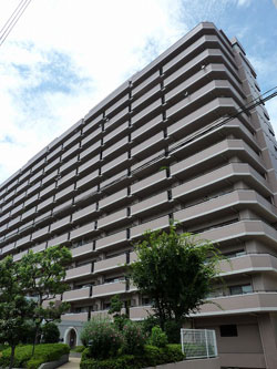 �����v���U�Z�V�]����2