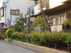 �����v���U�Z�g����