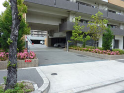 �A���X�Z�V�]����