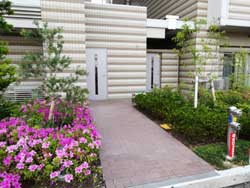 �u�����Y�Z�V�]����