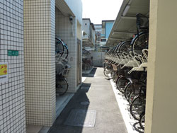 �u�����A�Z�V�]����