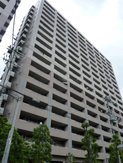 �V�e�B�R�[�|�Z�V�]EAST