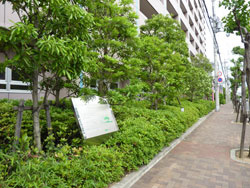 �V�e�B�R�[�|�Z�V�]WEST