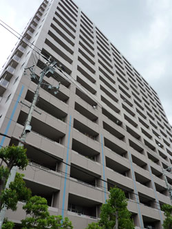 �V�e�B�R�[�|�Z�V�]WEST