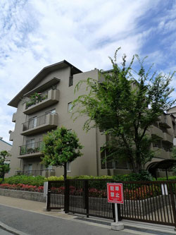 �V�e�B�n�C�c�Z�V�]1��