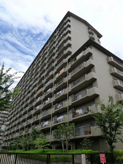 �V�e�B�n�C�c�Z�V�]2��