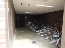 �f�B���A���l�񒚖�