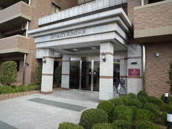 �f�B�i�X�e�B�Z�V�]