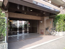 �_�C���p���X�Z�V�]����