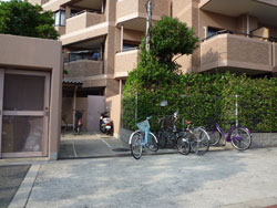 �_�C���p���X�Z�V�]����