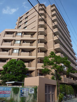 �_�C���p���X�Z�V�]����