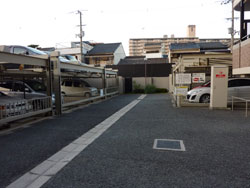 �f�B�I�t�F���e�B���l