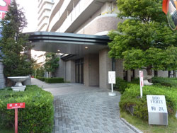 �f�B�I�t�F���e�B���l