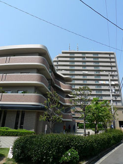 �f�B�I�t�F���e�B���l