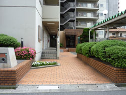 �h���[���V�k������