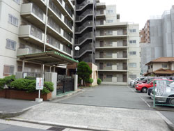 �h���[���V�k������