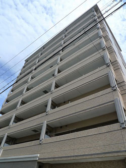 �h���t�f���I���Z�m�]