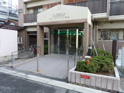 �G���t�B�[���h���l