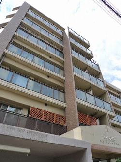 �G���t�B�[���h���l