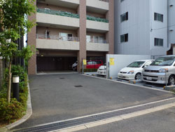 �G���V�A�����ꉮ