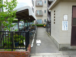 �G�o�[�O���[���Z�V�]