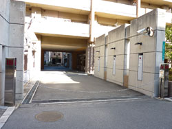 �t�@�~�[�������ꉮ