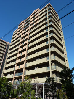 �t�@�~�[�������ꉮ