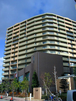 �t�@�~�[�������ꉮ�����₫�̊X