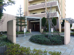 �t�@�~�[�������ꉮ����߂��̂܂�