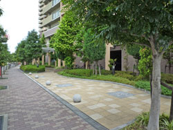 �t�@�~�[�������ꉮ����߂��̂܂�