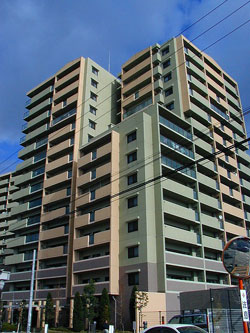 �t�@�~�[�������ꉮ����߂��̂܂�