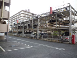 �t�@�~�[���k���ꉮ������т̊X