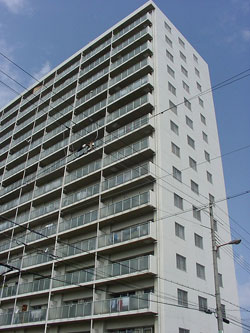 �t�@�~�[�������ꉮ