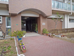 �t�@�~�[�������ꉮ