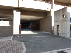 �t�@�~�[�������ꉮ�E�C���O�X