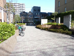 �t�@�~�[�������ꉮ�E�C���O�X