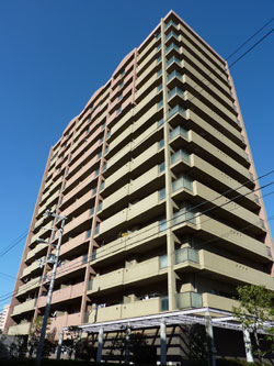 �t�@�~�[�������ꉮ�E�C���O�X